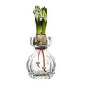 Parla Vase, Clear - Hyacinth
